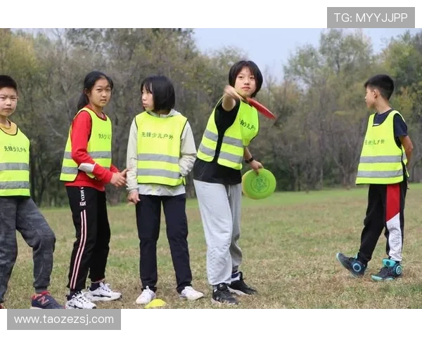 武汉飞盘队运营分析：成功经验与面临挑战的深度探讨