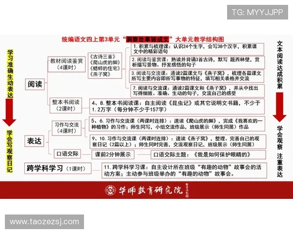 深入分析西安排球队反击战术的核心理念与实施策略