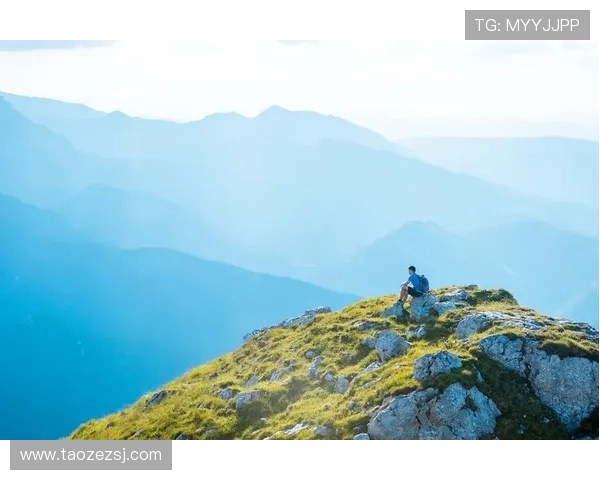 王娜专访:从初学者到顶尖攀岩者的奋斗与成长之路