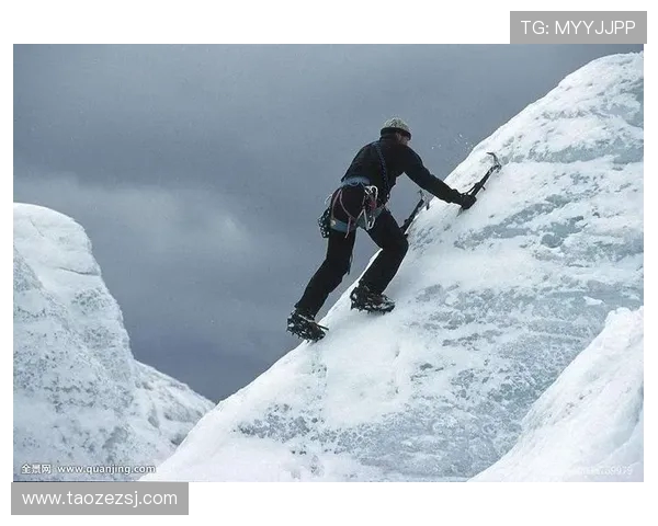 西安极限运动队战术分析与表现评估全景解读